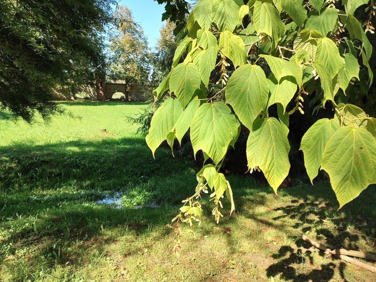 Hudobný život